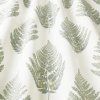frond olive 2