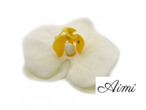 Mydlové Kvety pre Šikovné Ruky - Orchidea - Krémová
