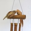 Kokosová Zvonkohra - Vtáky