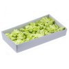 Mydlové Kvety pre Šikovné Ruky - Kvet Hyacint - Zelená