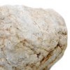 Kalcitová Geóda- 15-18 cm (Varianta Kalcitová Geóda- 15-18 cm)