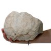 Kalcitová Geóda- 15-18 cm (Varianta Kalcitová Geóda- 15-18 cm)