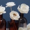 Prírodný Aroma Difúzor Tyčinka Kvet Tulipán (Varianta Prírodný Aroma Difúzor Tyčinka Kvet  Tulipán)