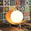 Prírodná Kokosová Lampa -Prírodná Twist (Varianta Prírodná Kokosová Lampa -Prírodná Twist)
