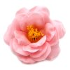 Mydlové Kvety pre Šikovné Ruky - Kamélia - Bledoružová