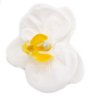 Mydlové Kvety pre Šikovné Ruky - Orchidea - Biela
