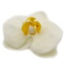 Mydlové Kvety pre Šikovné Ruky - Orchidea - Krémová