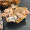 Vzorky Minerálov – Barytový Serisit ( cca 10-32 kusov) (Varianta Vzorky Minerálov –  Barytový Serisit ( cca 10-32 kusov))