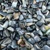 Hladké Kamene- Skamenené drevo čierna