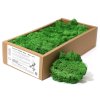 Dekoračný Islandský Mach - Machovo Zelený - 635g