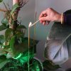 Záhradné Vonné Tyčinky Biofresh - (10 x 50cm) - Citrónová Tráva (Varianta (10 x 50cm) - Citrónová Tráva)