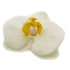 Mydlové Kvety pre Šikovné Ruky - Orchidea - Krémová (Varianta Orchidea - Krémová)