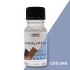 10ml Vonný Olej Eukalyptový (Varianta 10ml Vonný Olej Eukalyptový)
