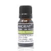 10 ml Eukalyptový Esenciálny Olej (Varianta 10 ml Eukalyptový Esenciálny Olej)