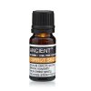 10 ml Esenciálny Olej z Mrkvového Semena (Varianta 10 ml Esenciálny Olej z Mrkvového Semena)