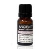 10 ml Gáfor (Cinnamomum Camphora) Esenciálny Olej (Varianta 10 ml Gáfor (Cinnamomum Camphora) Esenciálny Olej)