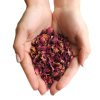 Lupene Ruží (0.5KG) (Varianta Lupene Ruží  (0.5KG))