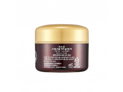 Snail wrinkle care sleeping pack product 01