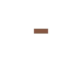 Színes AmeriColor WARM BROWN 19ml