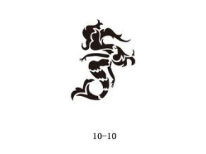 Sablon csillogó tetováláshoz Fengda  10-10