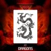 airbrush stencil dragons d7