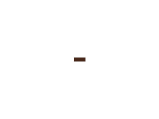 Farba AmeriColor CHOCOLATE BROWN 19ml