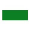 Farba LifeColor LC12 basic matt dark green