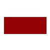 Farba LifeColor LC66 basic gloss raw siena  Farba