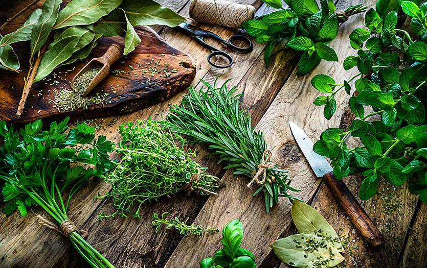 Dashboard_835_Herbs_9_23