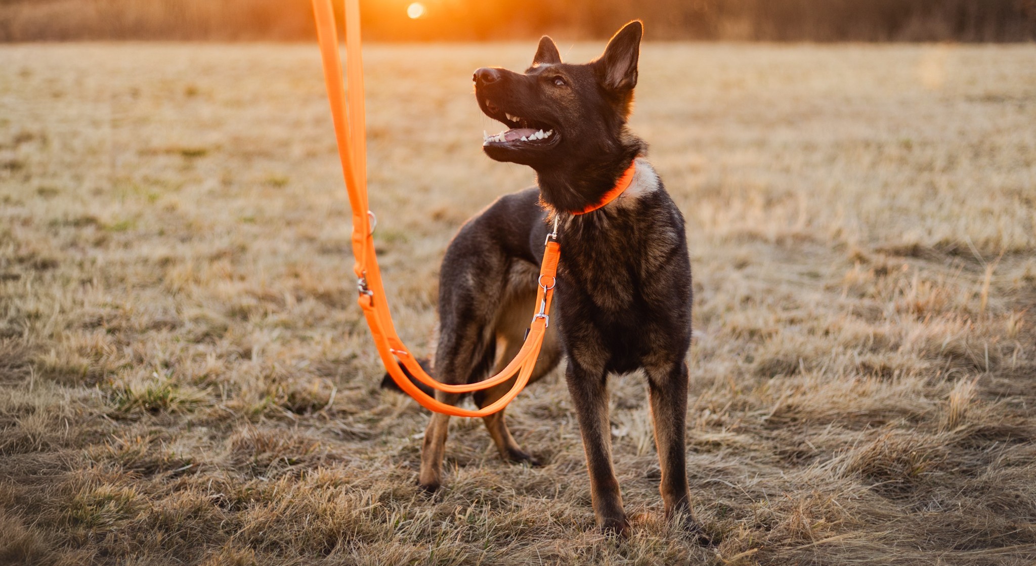 Ručně vyráběné neoprenové obojky