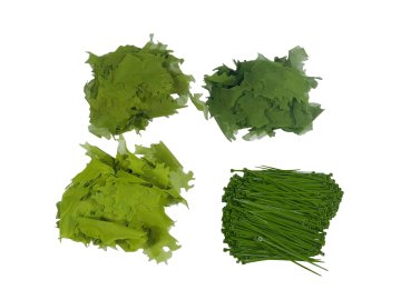 Kicking Mustang AGM adaptivní maskovací listy - zelené, set 100g, Kicking Mustang 01