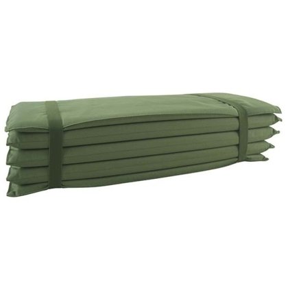 3009 1 D