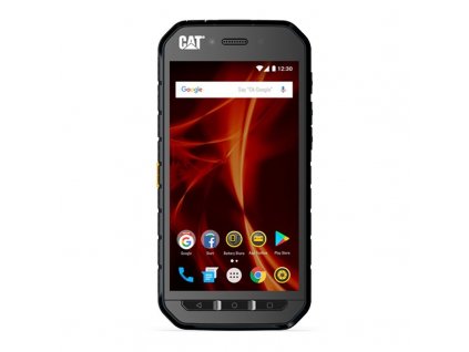 Cat 41