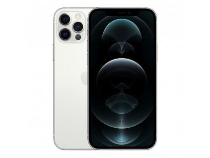 21313 apple iphone 12 pro