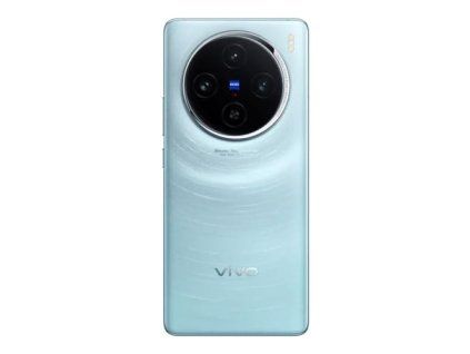 29865 vivo x100