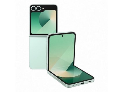 Samsung Galaxy Z Flip 6, F741B