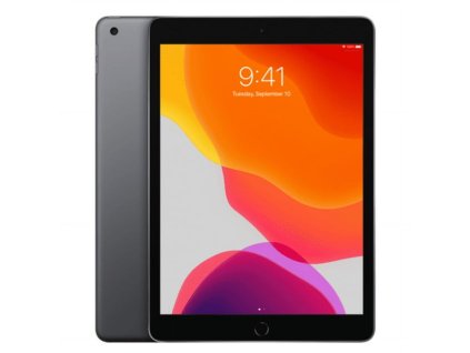 Apple iPad 102