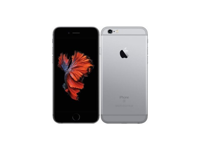 Výměna zadní kamery Apple  iPhone 6S