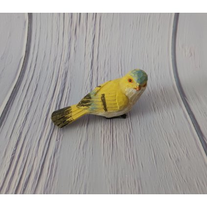 Vtáčik žltomodrý