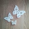Sada motýle