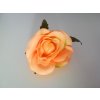 Hlava ruža bledooranž