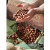thaihansbeans