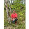 ThaiFarm