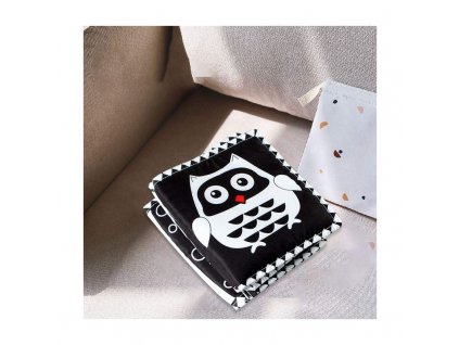 kontrasztos erzekszervi konyv bagoly evike