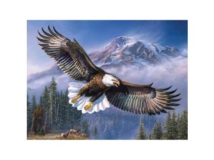 5d gyemant mozaik amerikai sas 1