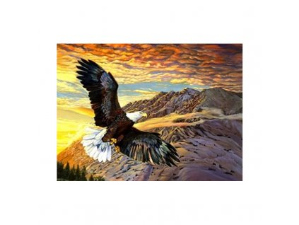 5d gyemant mozaik eagle 1