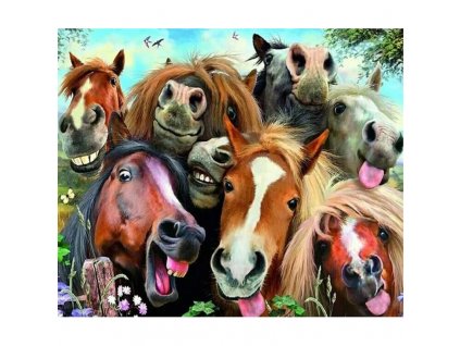 5d gyemant mozaik funny horses 1