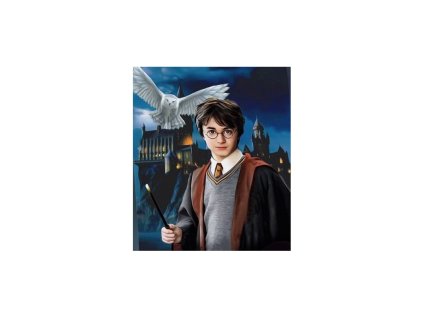 5d gyemant mozaik harry potter 1
