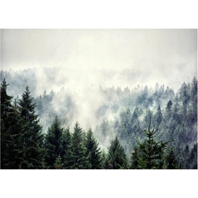 5D gyémánt mozaik - Ködös erdő
