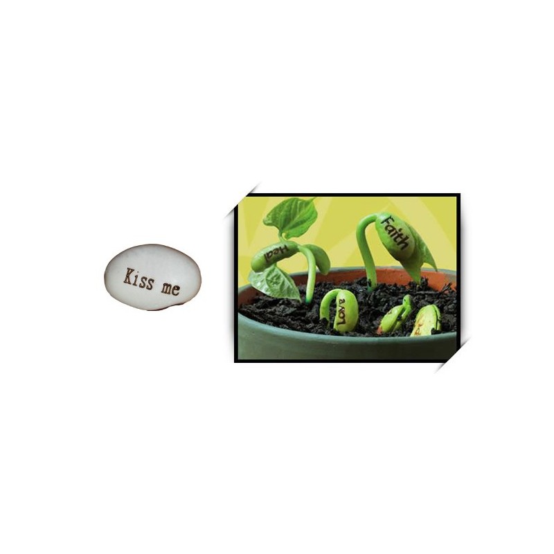 Varázsbab felirattal Egyéb változatok: Kiss me